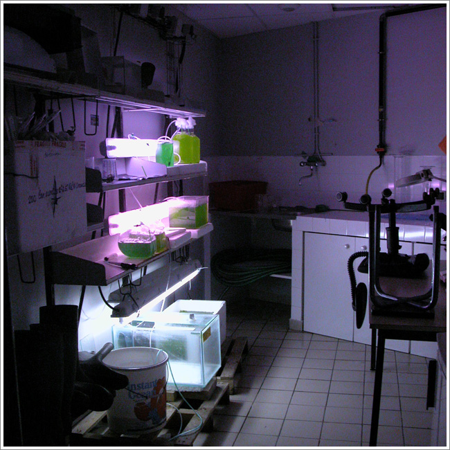 Laboratoire - Aquarium de Lyon