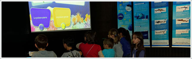 Quizz - Aquarium de Lyon