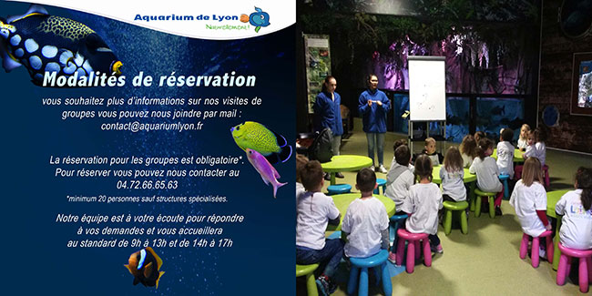 Education-Venir-en-Groupe-Scolaire-1,23