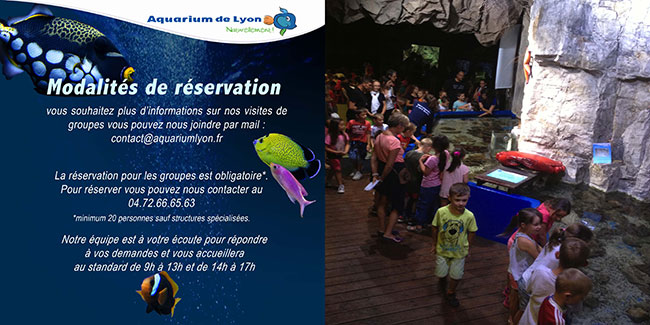 De la maternelle au cycle secondaire - College - Aquarium de Lyon De la maternelle au cycle secondaire - College - Aquarium de Lyon