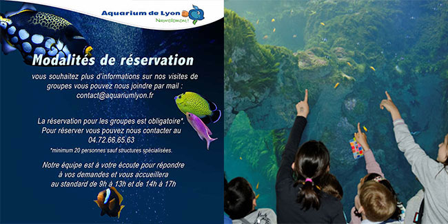 Scolaire - Aquarium de Lyon