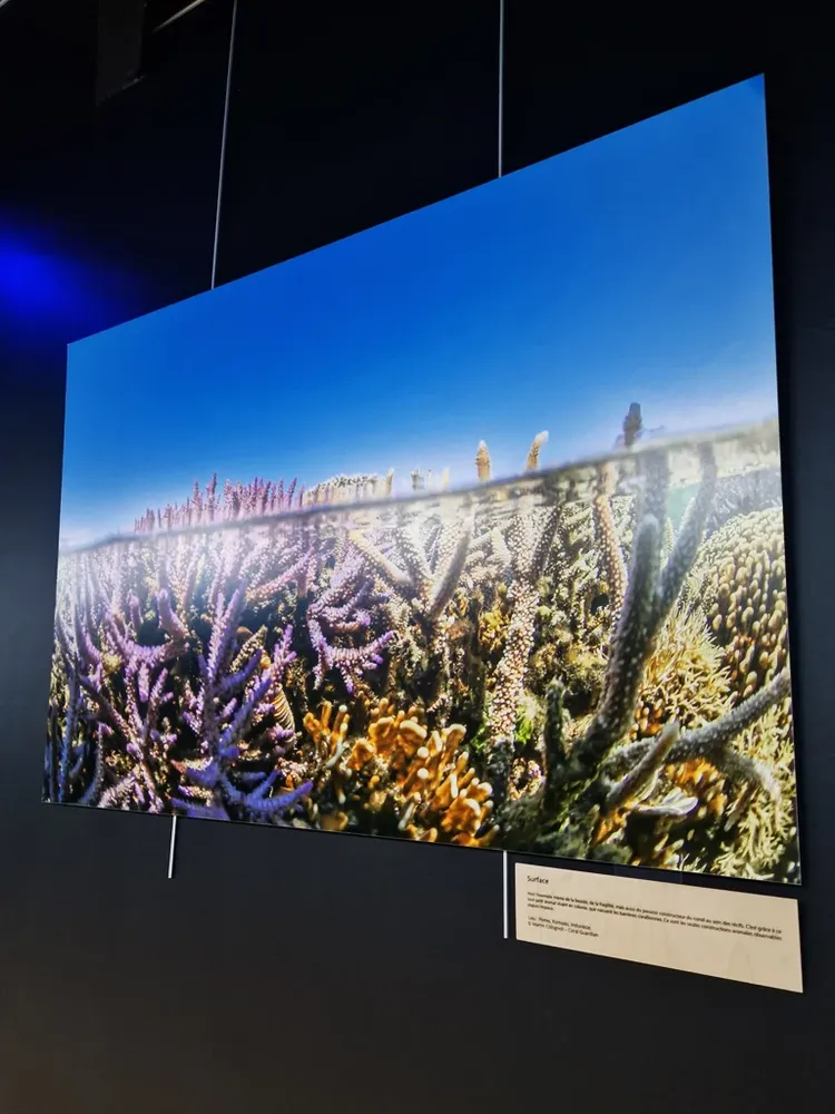 CORAL GUARDIAN